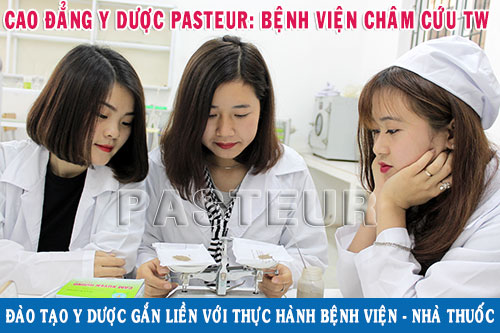 Địa chỉ Trường Cao đẳng Y Dược Pasteur tại Hà Nội