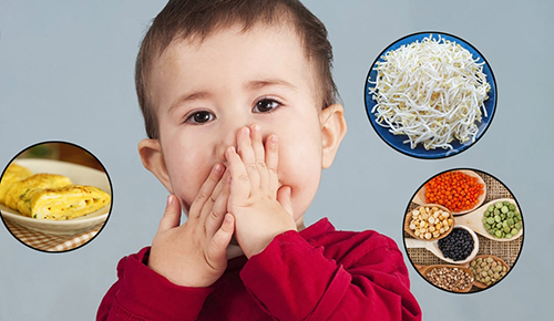 Vị thuốc đông y trị biếng ăn ở trẻ hiệu quả