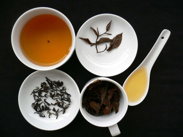 Các loại trà giúp ngăn ngừa suy giảm tế bào máu