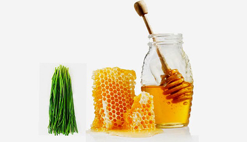 chữa ho hiệu quả bằng mật ong và lá hẹ