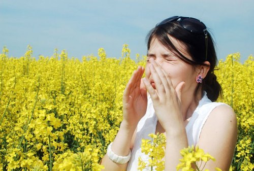 Bệnh viêm mũi dị ứng gây ảnh hưởng trực tiếp đến sức khỏe người bệnh