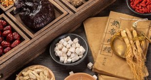 Các vị thuốc y học cổ truyền phòng và điều trị rối loạn tiền đình